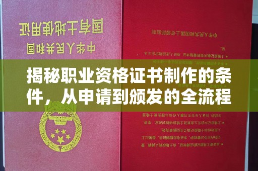 盐边揭秘职业资格证书制作的条件，从申请到颁发的全流程解析